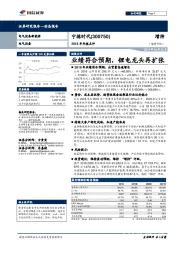 2018年年报点评：业绩符合预期，锂电龙头再扩张