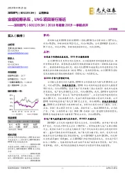 2018年报暨2019一季报点评：业绩短期承压，LNG项目渐行渐近