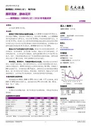 2018年年报点评：厚积薄发，静待花开