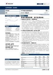 2019年一季报点评：零添加维持高增，省外表现积极