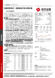 2018年年报点评：动销表现良好，短期波动不改长期价值