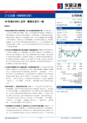 18年报&19Q1点评：整装出发又一城