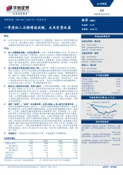2019年一季报点评：一季度收入业绩增速放缓，未来有望改善
