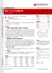 公告点评：修正2018年业绩快报