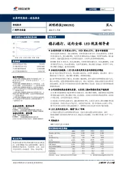 2019年1季报：稳扎稳打，迈向全球LED视显领导者