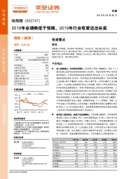 2018年业绩略低于预期,2019年行业有望迈出谷底