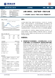 年报及2019Q1季度报告点评：业绩大幅增长，在建产能将一步提升业绩