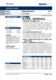 2018年年报点评:符合预期,期待调浆获批