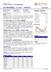 年报点评报告:2018营收创新高,火力全开,冲锋2019