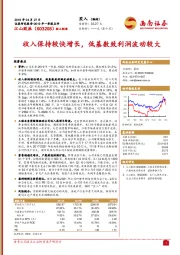 2019年一季报点评：收入保持较快增长，低基数致利润波动较大