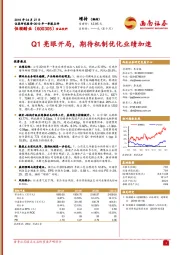 2019年一季报点评:Q1亮眼开局,期待机制优化业绩加速