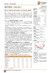 海外4G市场扩张+全球5G推进，2019年开启向上新阶段