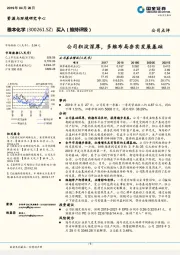 公司积淀深厚，多维布局夯实发展基础