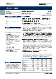 2019年一季报点评：Q1业绩略低于预期，静候德国SAM接棒美国增长