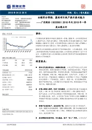 2018年及2019年一季度业绩点评:业绩符合预期,募投项目投产提升盈利能力