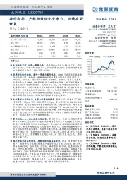 海外布局、产能投放强化竞争力，业绩有望修复