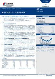 2019年一季报点评:玻纤景气度下行,龙头优势加强