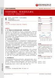 2019年第一季度报告点评：营收持续增长，研发费用高增长