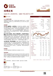 1Q19收入稳健增长;SAM并表拖累毛利率