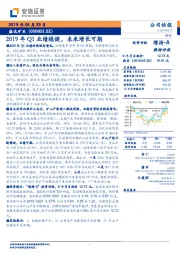 2019年Q1业绩稳健，未来增长可期