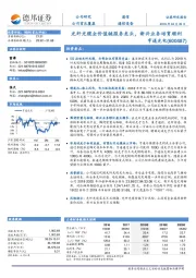 光纤光缆全价值链服务龙头,新兴业务培育顺利