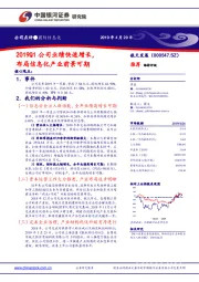 2019Q1公司业绩快速增长，布局信息化产业前景可期