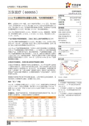 2018年业绩保持快速增长态势，毛利率持续提升