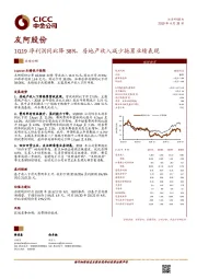1Q19净利润同比降38%，房地产收入减少拖累业绩表现