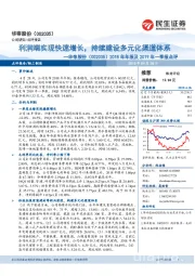 2018年年报及2019年一季报点评:利润端实现快速增长,持续建设多元化渠道体系