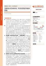 2018年报点评:深耕细分区域市场,手游运营业务增长稳健