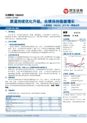 2019年一季报点评：渠道持续优化升级，业绩保持稳健增长