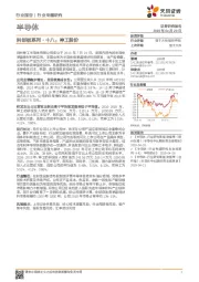 科创板系列·十八：神工股份