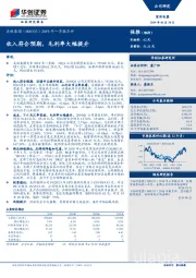 2019年一季报点评:收入符合预期,毛利率大幅提升