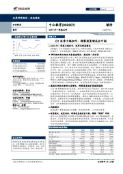 2019年一季报点评:Q1淡季大幅扭亏,跨赛道复制成长可期