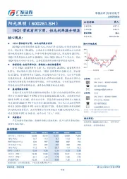 19Q1营收有所下滑，但毛利率提升明显