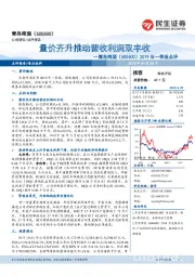 2019年一季报点评：量价齐升推动营收利润双丰收