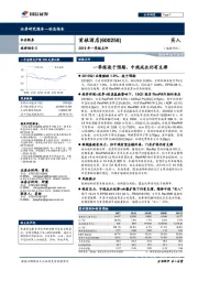 2019年一季报点评：一季报逊于预期，中线成长仍有支撑