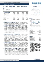 多元化布局持续推进，项目扩张支持公司发展