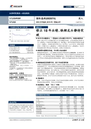 2018年年报及2019年一季报点评:修正18年业绩,铁锂龙头静待突破
