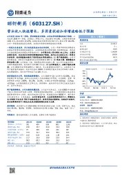 营业收入快速增长,多因素扰动扣非增速略低于预期