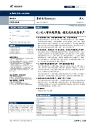 2019年1季报点评：Q1收入增长超预期，稳定成长优质资产