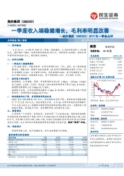 2019年一季报点评：一季度收入端稳健增长，毛利率明显改善