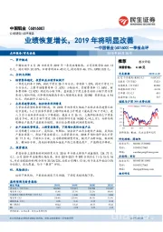 一季报点评：业绩恢复增长，2019年将明显改善