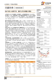 选矿技改+盐湖开发,看好公司长期潜力释放