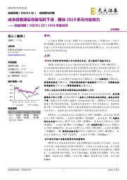 2018年报点评：成本调整滞后导致毛利下滑，期待2019多元内容发力