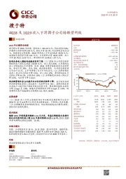 4Q18及1Q19收入下滑因子公司转联营所致