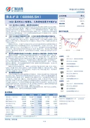 19Q1盈利同比小幅增长，已取得陶忽图井田探矿证