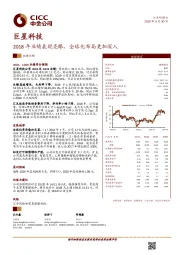2018年业绩表现亮眼，全球化布局更加深入