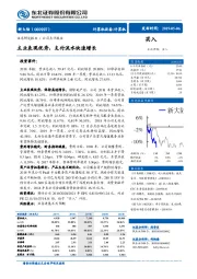 主业表现优秀，支付流水快速增长