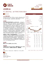 收入增长加速，19年将有多款新品推出